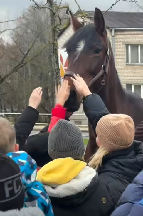 Zirgu Māja Baltezers un Liberty Equestrian sagādā spalvaini ausainu dāvaniņu