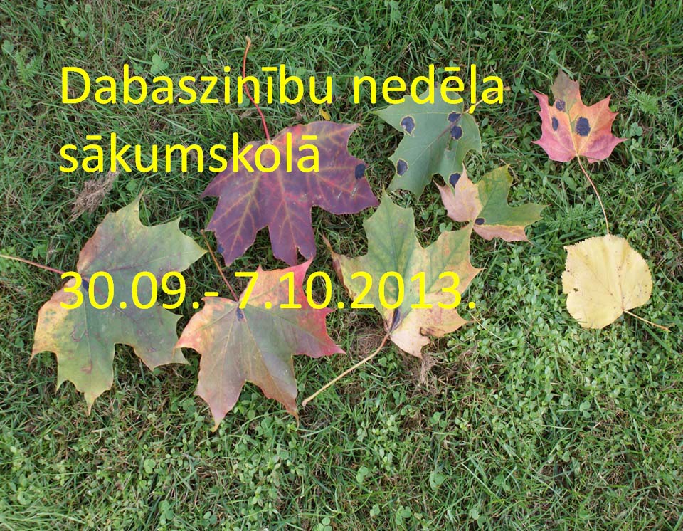 Dabaszin nedela 01